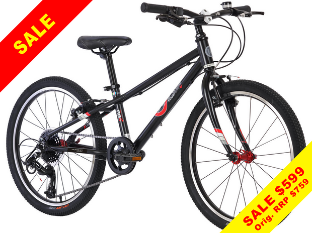 E-450x8 MTB (Mountain Bike)